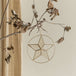Capiz Star Ornament with Ring