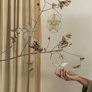 Capiz Star Ornament Homewares En Gold