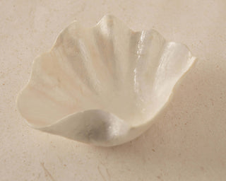 Clam Dish Tableware En Gold