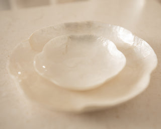 Scallop Dish Set