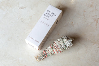 Organic White Sage Smudge Stick | Medium