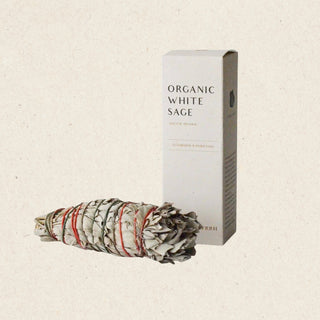 Organic White Sage Smudge Stick | Medium