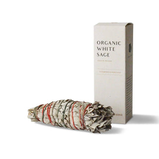 Organic White Sage Smudge Stick | Medium