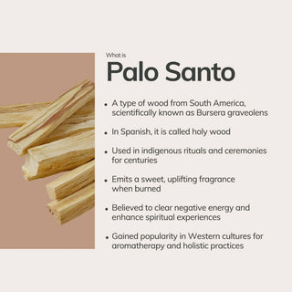 Palo Santo Incense Cones