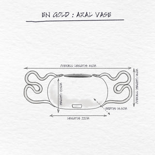 Aral Vase, En Gold x Vianca Soleil dimensions