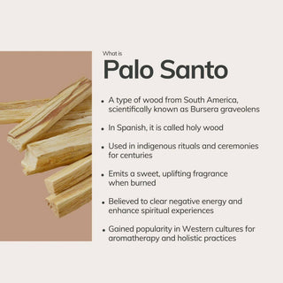 Palo Santo Incense Sticks