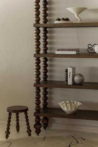 Santos Bookshelf