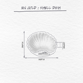 Shell Dish dimensions