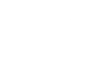 en gold white colour logo