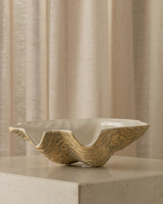 Shell Bowl, Coral Glaze by Moss Living